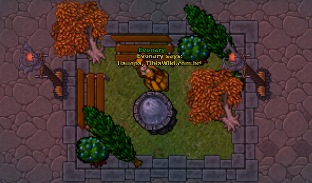 HauopaTibiaWikiBrsmall