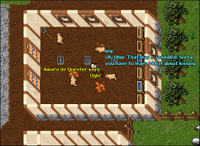 artigo recomendacoes kissing_a_pig_small